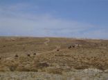 Kfardebian Off Road (Faraya)